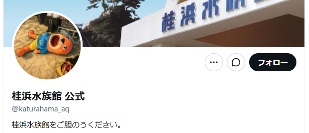 Mer_Kurage's tweet photo. 館長の胆石治療にともない
桂浜水族館の自己紹介が
「桂浜水族館をご胆のうください。」
になってる😆 https://t.co/u1syyrJ6QQ