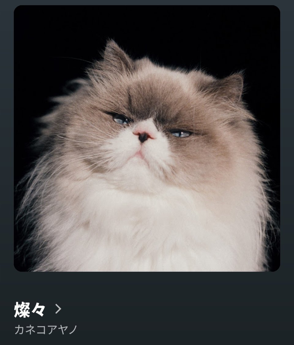 fishjamtown's tweet photo. ロックンロールは鳴り止まない🐈
140文字じゃ収まらないのでいつかなんかで思いを綴りたい🔥🔥 https://t.co/wON8cOQZqB