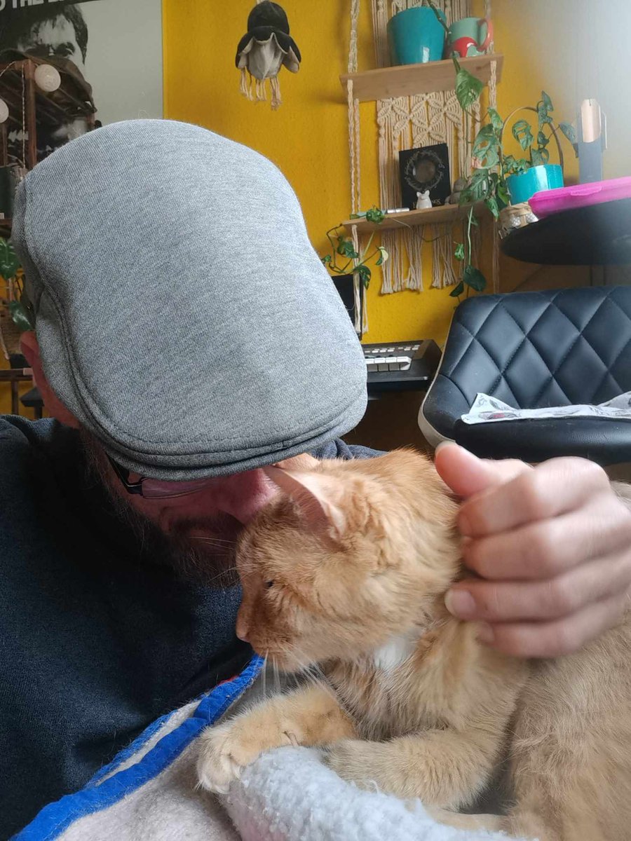 teletoby's tweet photo. Heute ist übrigens der:Umarme-deine-Katze-Tag. Nichts lieber als das 😍🥰🥰🥰 https://t.co/lt7xiVE5f6