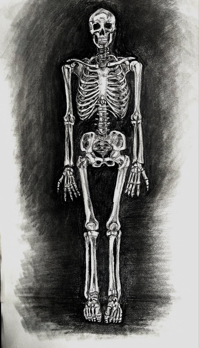 ignitemediaca's tweet photo. https://t.co/YZHty47ye7

Some of my pencil drawings in my sketch book. Could you please place a vote in the link above and share my posts? Thank you 🙏🏽 https://t.co/V3jrcjpZoz
