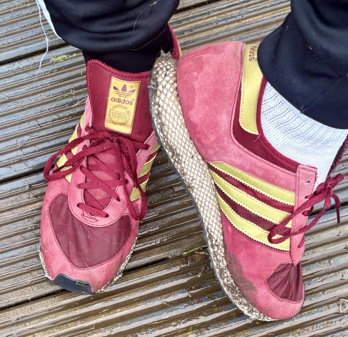 eighticusAce's tweet photo. Atlanta SPZL (2017) into the dig walking rotation after 9 years active service.

Even came with me for a weekend in the cells.

Not Guilty BTW 😇 🍾 1312 https://t.co/eH8N2mtQB1