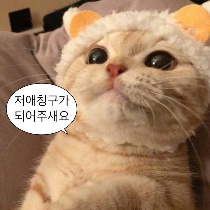 soofee_official's tweet photo. #EVENT #RT이벤트 
수페 트위터 계정 오픈

트친 분들과 친해지고 싶어서
자작나무 앰플 증정 이벤트를 낋여 왔습니다💚

촉촉한 질감과 은은한 향이 
너무 좋은 느낌을 주는  앰플~

📍 참여 방법: 팔로우 + RT
⏰당첨자 발표: 06/12(금) 개별 DM
🎁 당첨 선물: 버치 리치 오리진 앰플(5명) https://t.co/b72BECPRqu