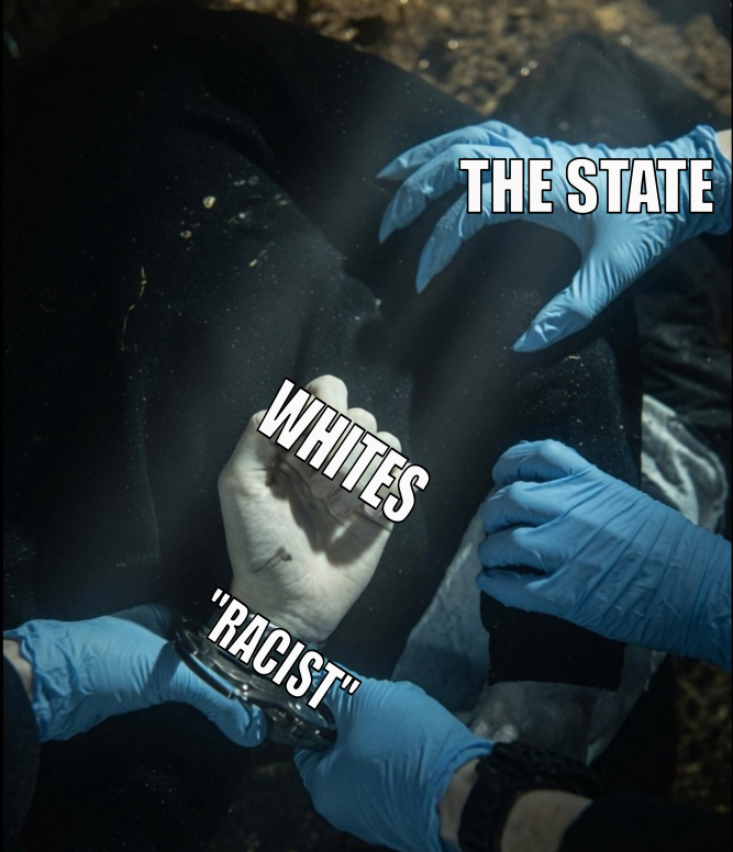 _Evolutionism's tweet photo. @RupertLowe10 The state hates white people do not give them an excuse https://t.co/29VxPr05JU