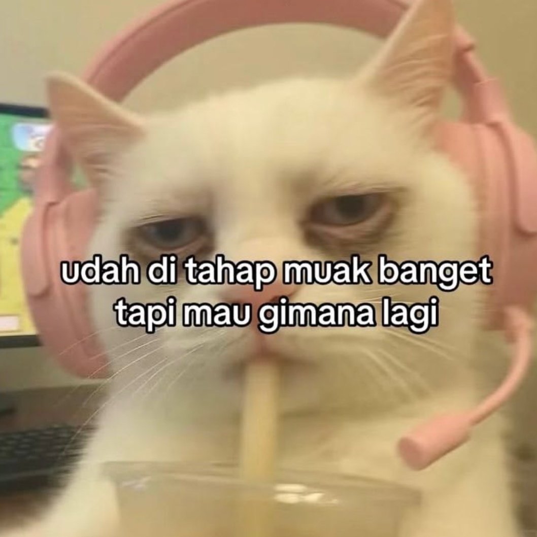 oiiputcat's tweet photo. https://t.co/okmlPPYDUV