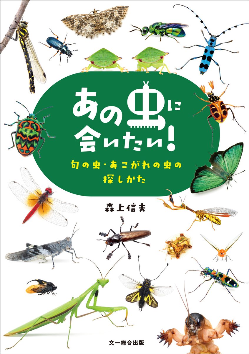 昆虫写真家・森上信夫さんの新刊『あの虫に会いたい！』7月発売です