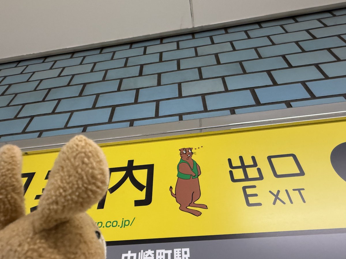 nuiusagi3's tweet photo. 🐰おともだち？ https://t.co/vp0t0b2bOf
