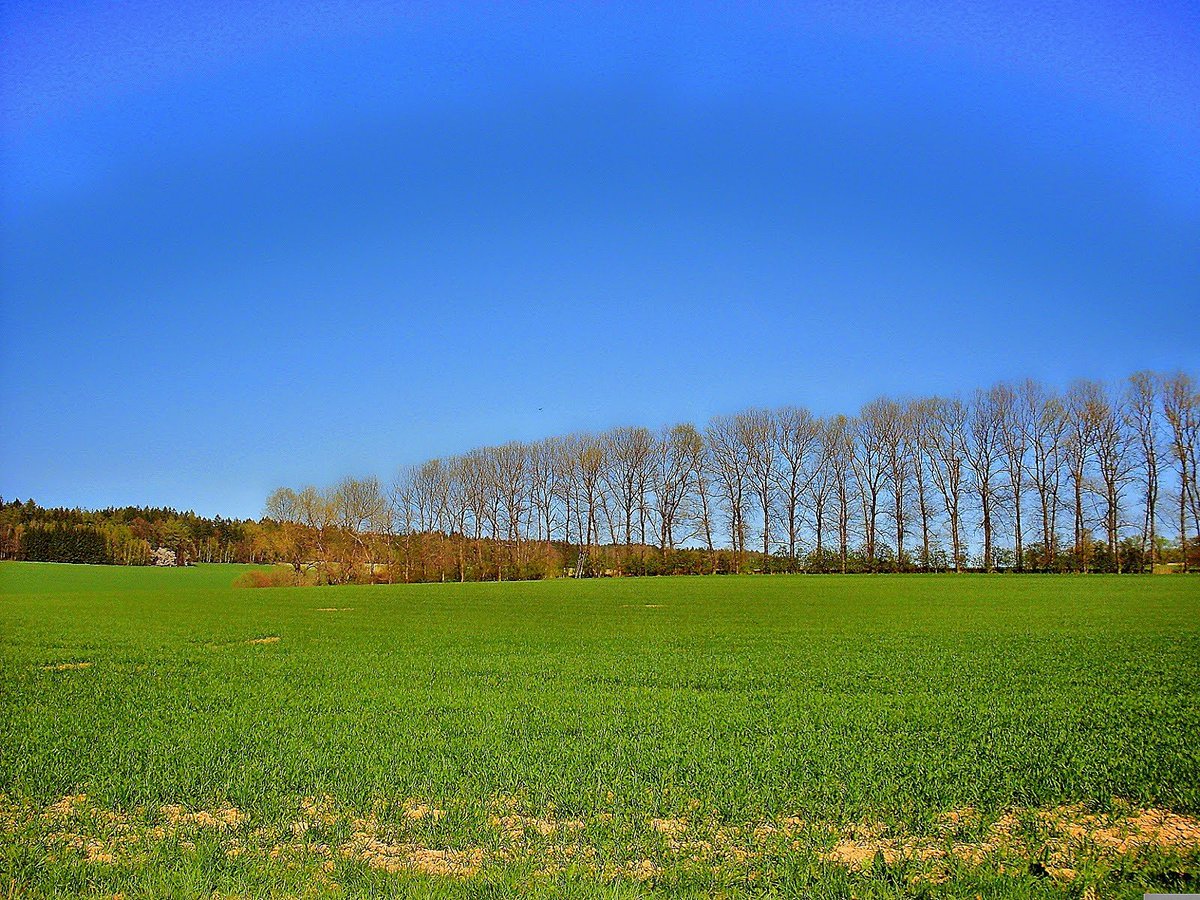 MartinStusak's tweet photo. Zelená a modrá v dokonalé harmonii. Ta řada stromů vypadá jako grafické chyby, které se seřadily, aby tvořily umění. Moc hezký! 🌳💙 #priroda #krajina #klid https://t.co/xSqOlco7k3