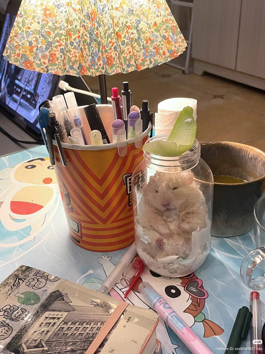 TweetsOfHamster's tweet photo. https://t.co/C3sfQ6WCNJ