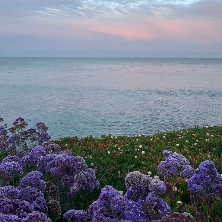 bloomele_'s tweet photo. an enchanted place https://t.co/4w87GDIzCK