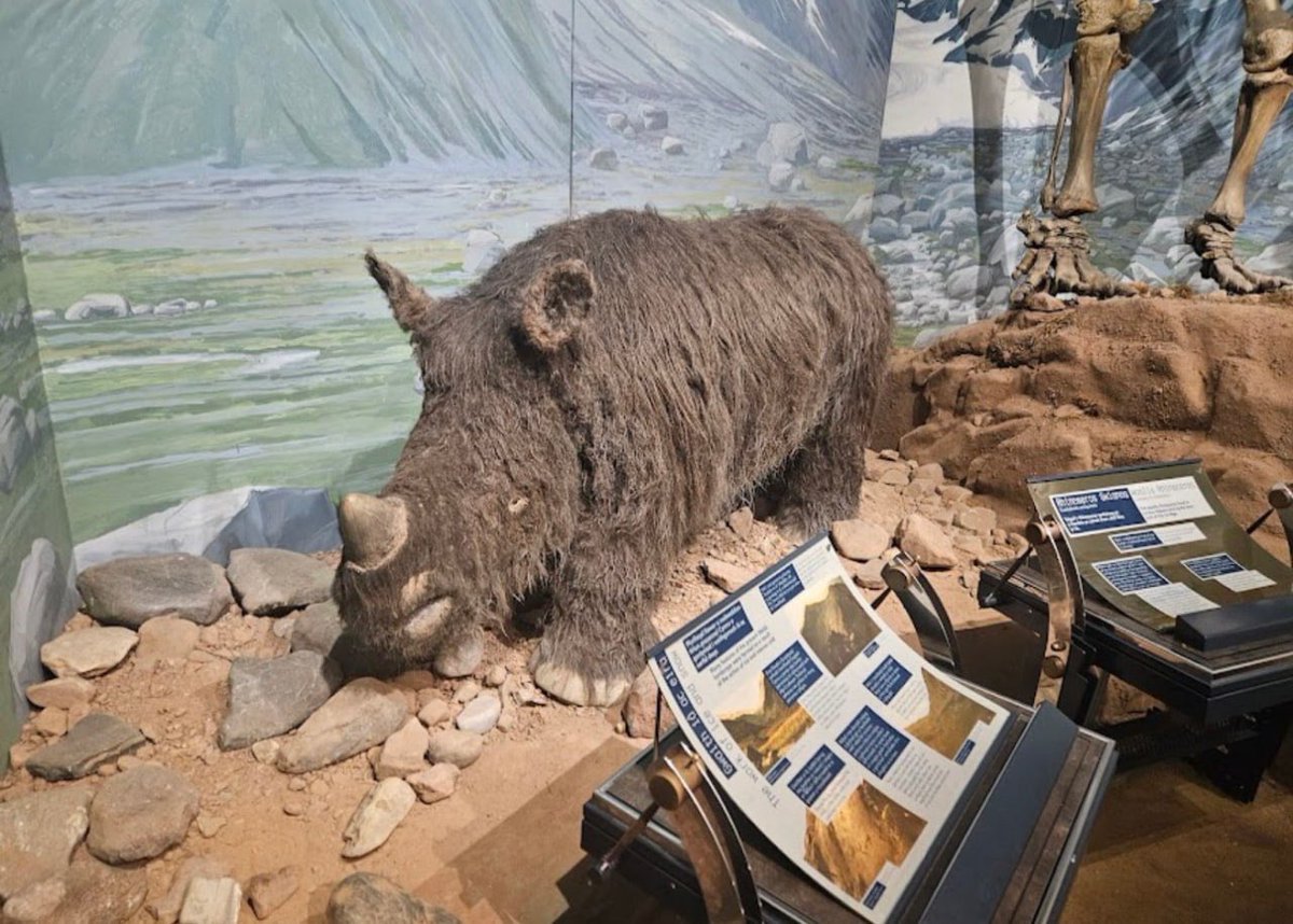 SlateRunner's tweet photo. i think i’d fall for someone in a museum lowkey https://t.co/PaVNwPOIT8