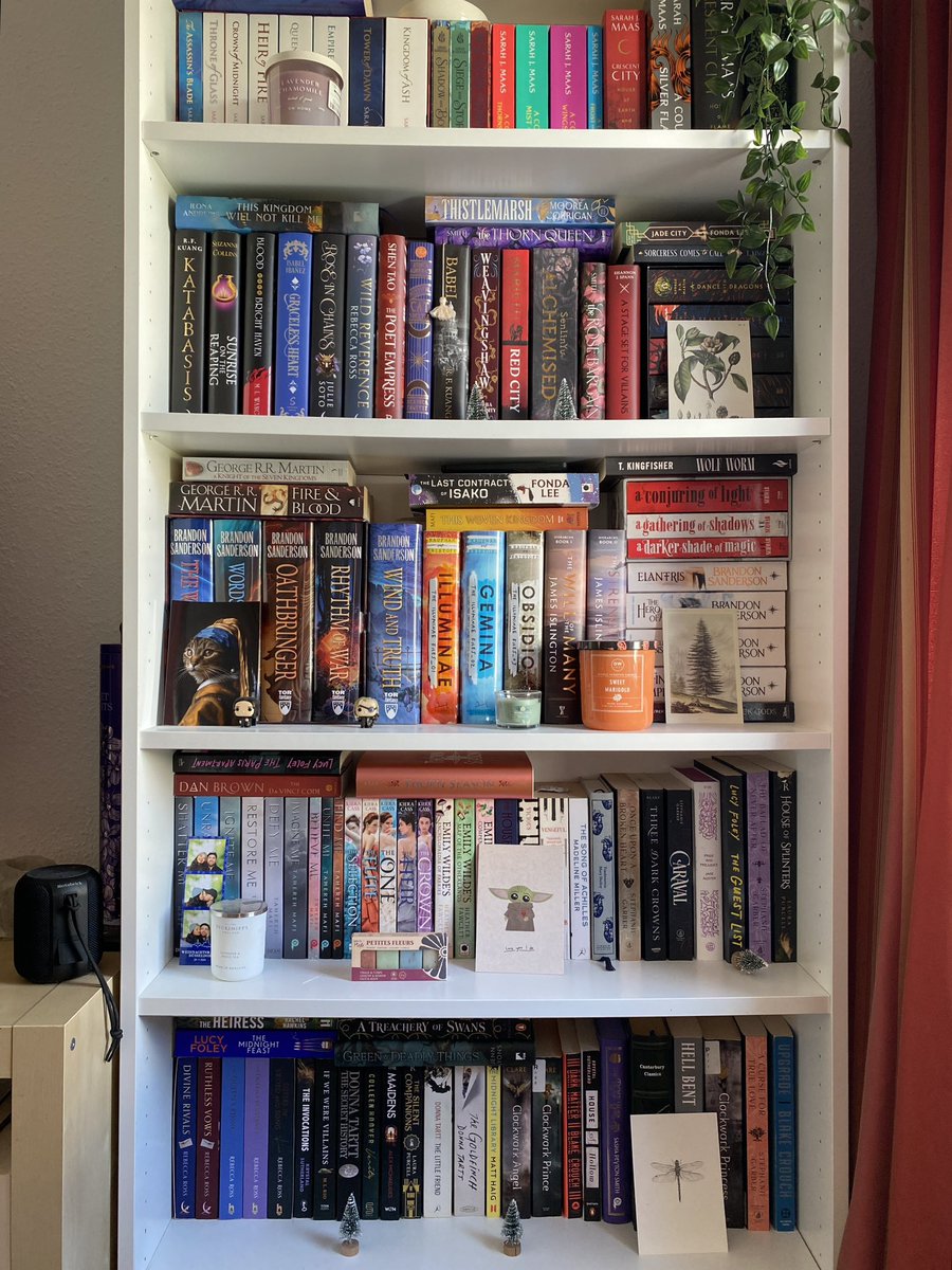 dinsaesthetic's tweet photo. booktwt let's start a trend, show me your bookshelf and your cat(s)😻😻

My bookshelf                               My cat https://t.co/qf0qQK4txg