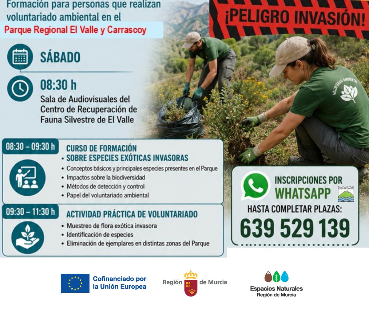 ElVallePR's tweet photo. Este sábado unimos #CienciaCiudadana y #VoluntariadoAmbiental junto a Club Wapaventura para estudiar y conservar la biodiversidad de #ElVallePR 🌱

#StopPlantasInvasoras #PAEAS #ODS #ActNow https://t.co/czInEu97c5