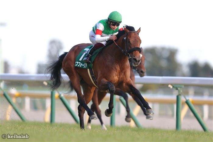keibalab's tweet photo. 【始めようか天体観測】
日曜、東京5R・2歳新馬ではエフフォーリア産駒のジョドレルバンクがD.レーン騎手を背にデビュー。

叔父にダービー馬クロワデュノールがいる良血馬。注目のデビュー戦です。馬名意味は"イギリスにある天文台の名称"
#ジョドレルバンク #エフフォーリア
https://t.co/jztb1xImgH https://t.co/RSZGzYMcVg