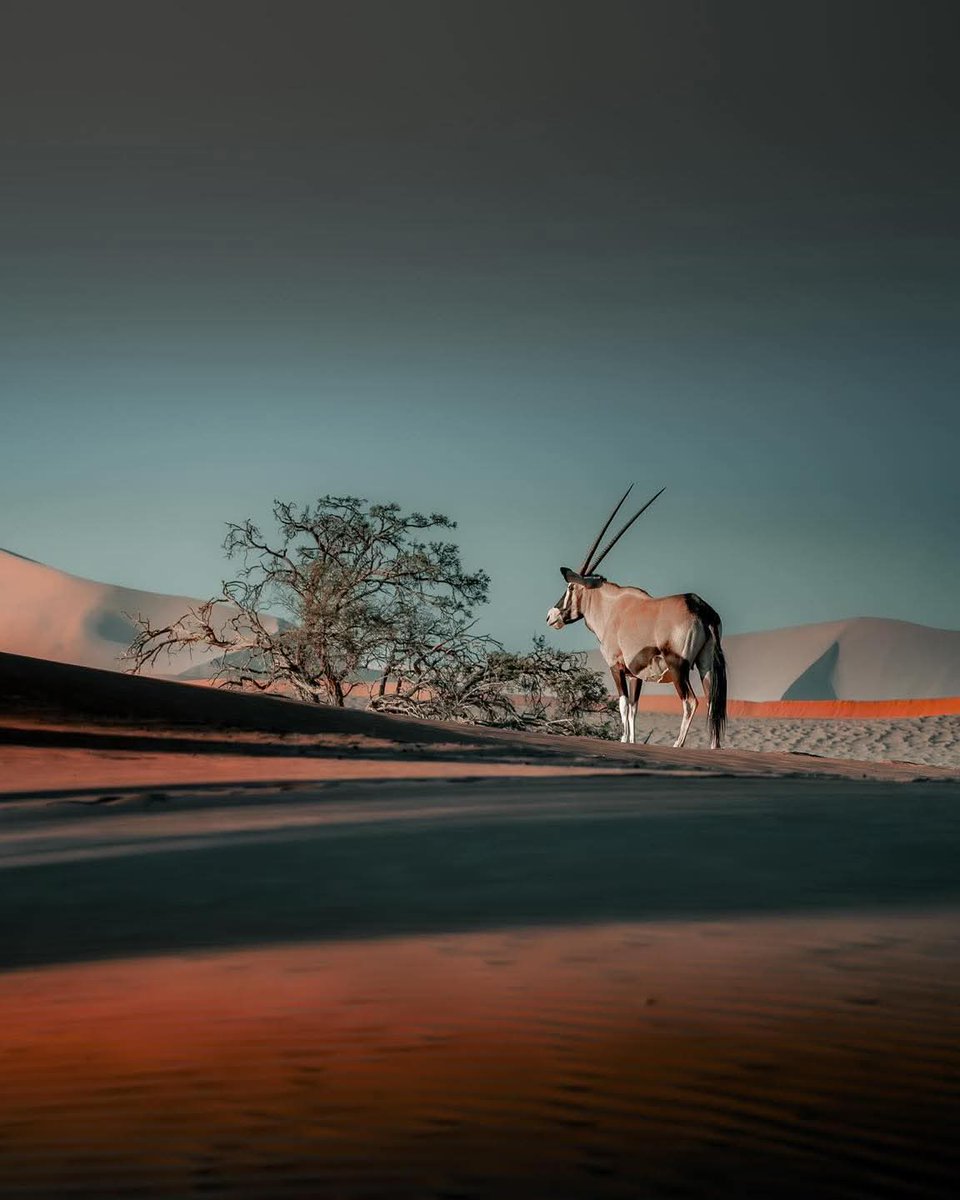 Carl_CE50's tweet photo. Namibia. 📸 Solly Levi. https://t.co/FP2jWxUGbD