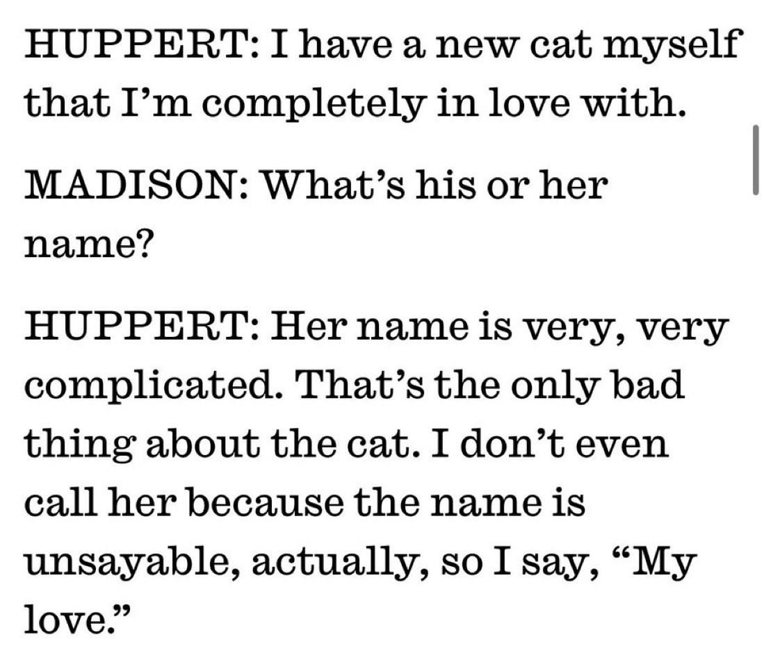 hitogabe's tweet photo. someone asked her again about her cat’s name and she refused to answer https://t.co/weyuiboOyk