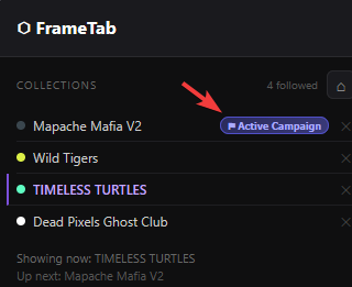 FrameTab's tweet photo. Halfway through the @Mapache_MafiaV2 x FrameTab promo 🦝

Install FrameTab, follow Mapache Mafia V2, enter the active campaign and explore the collection every time you open a new tab.

Their custom collection backgrounds are live too, so you can make the whole new tab experience feel properly Mapache.

Still time to get involved 👇