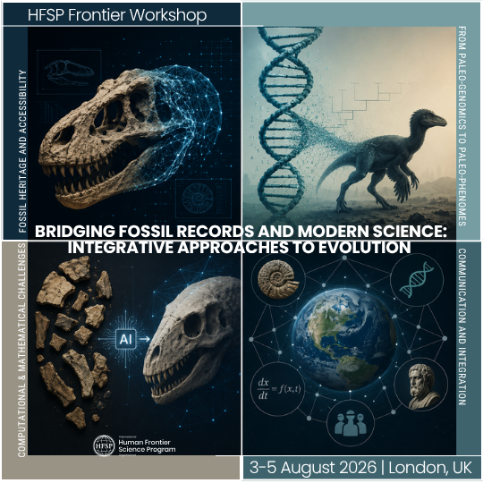 HFSP's tweet photo. The #HFSPFrontierWorkshop will explore 4 key themes:
🦴Fossil heritage &amp; accessibility
🧬Paleo-genomics to paleo-phenomes
🤖AI, computation &amp; mathematical modeling
🌍Science communication &amp; integration

📣 Abstract deadline: 10 June 2026
🔗 https://t.co/st9OZbhzHW 
#sts 🧪 https://t.co/D0N0N8ilr6