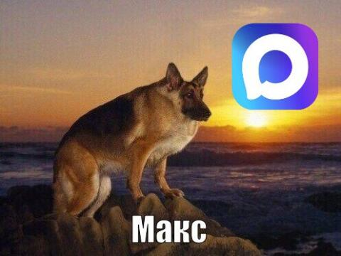 den_rad's tweet photo. Max удалили из AppStore https://t.co/8X9MPYV117