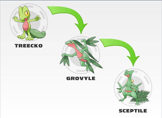 ChibiAxolotl's tweet photo. @PokeDailyPost https://t.co/CtU7giUOrz