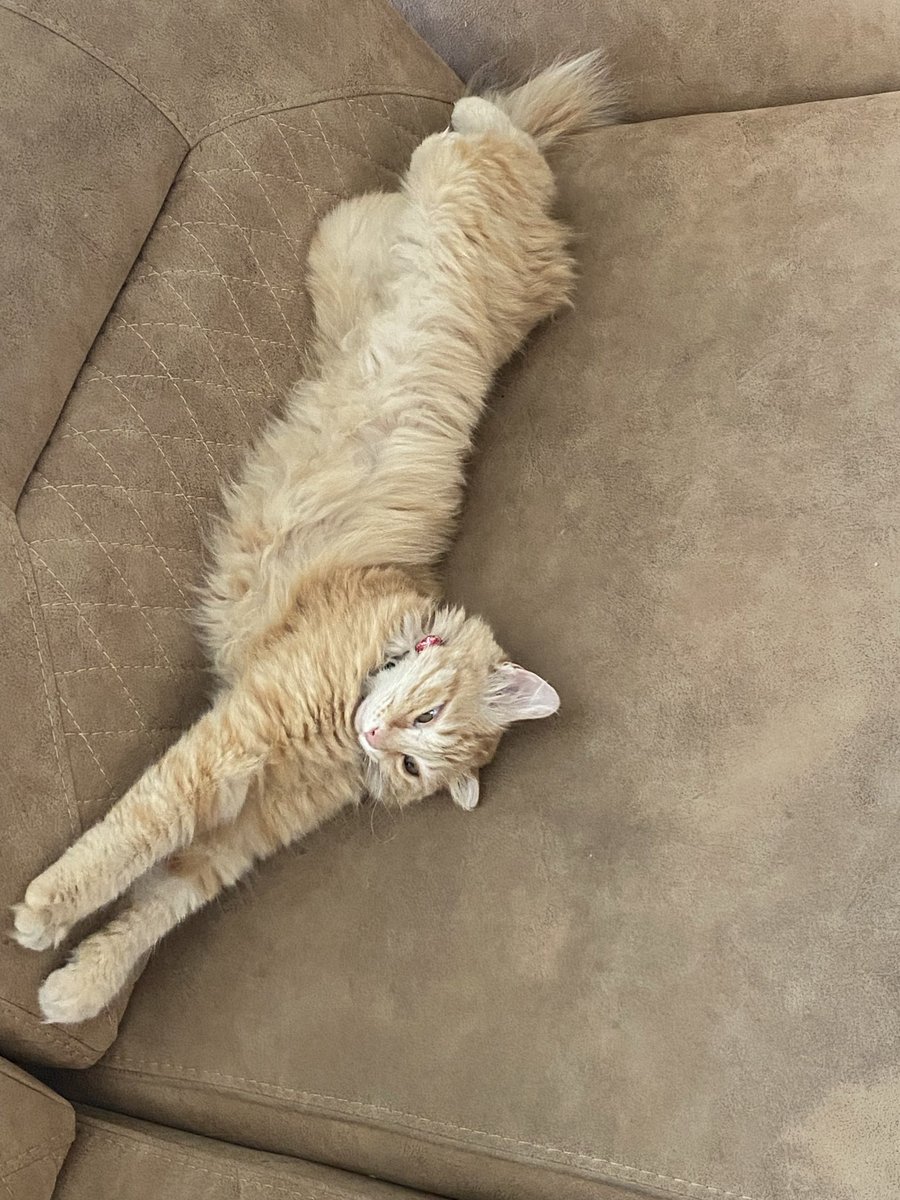 chmmoon's tweet photo. الان داره:)))) https://t.co/uJPRLPcqkU