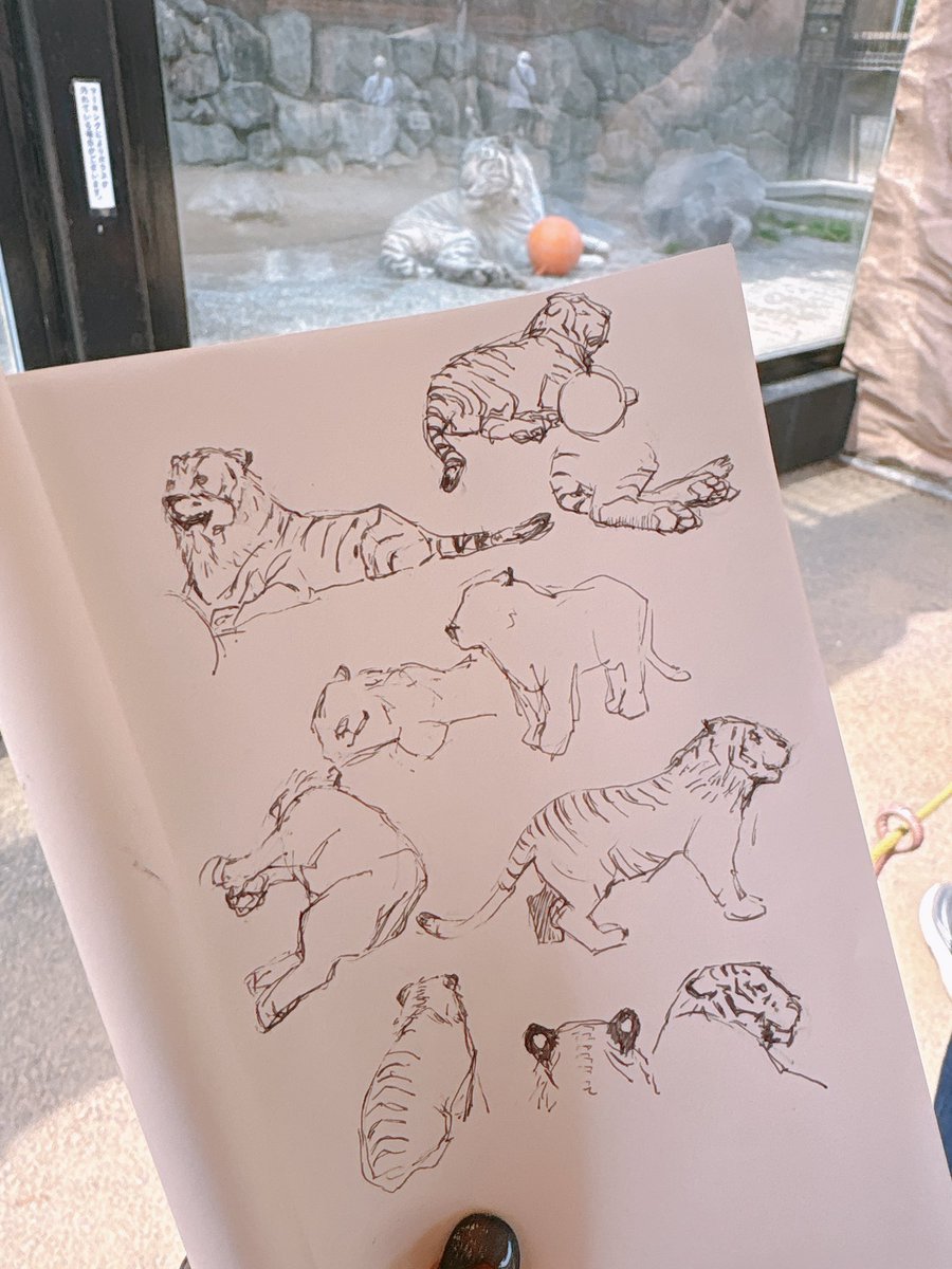 pai02's tweet photo. 東武動物公園をフィーチャーした夏バージョンは、取材もしっかり出来て特に楽しく描かせて頂きました！✍🏻 https://t.co/0x7DSbIDkP