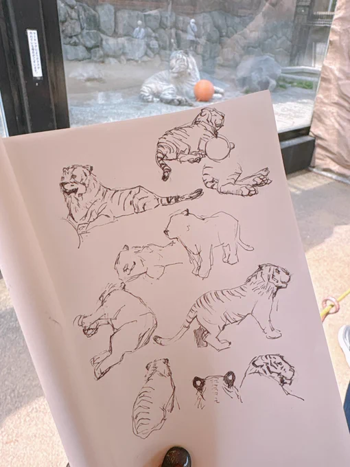 東武動物公園をフィーチャーした夏バージョンは、取材もしっかり出来て特に楽しく描かせて頂きました!