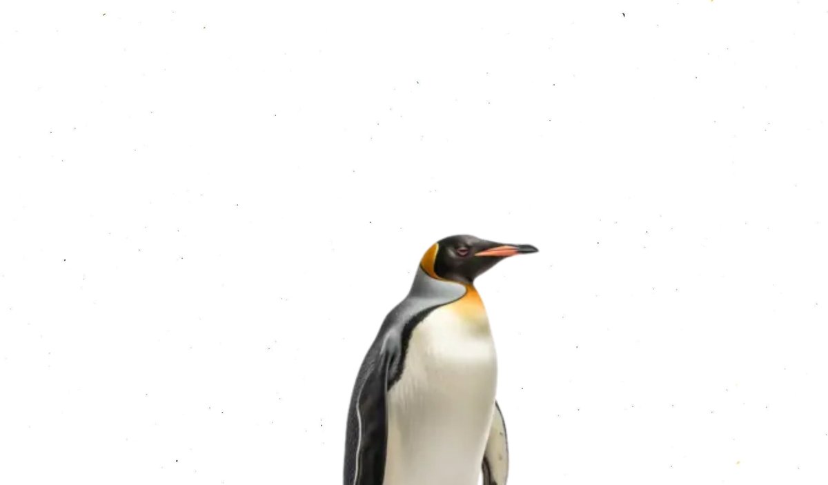 SPECTRE0FHELL's tweet photo. I AM NOW A PENGUIN. https://t.co/urNMmRkheQ