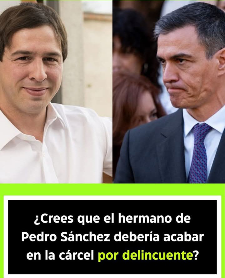 jota tweet media