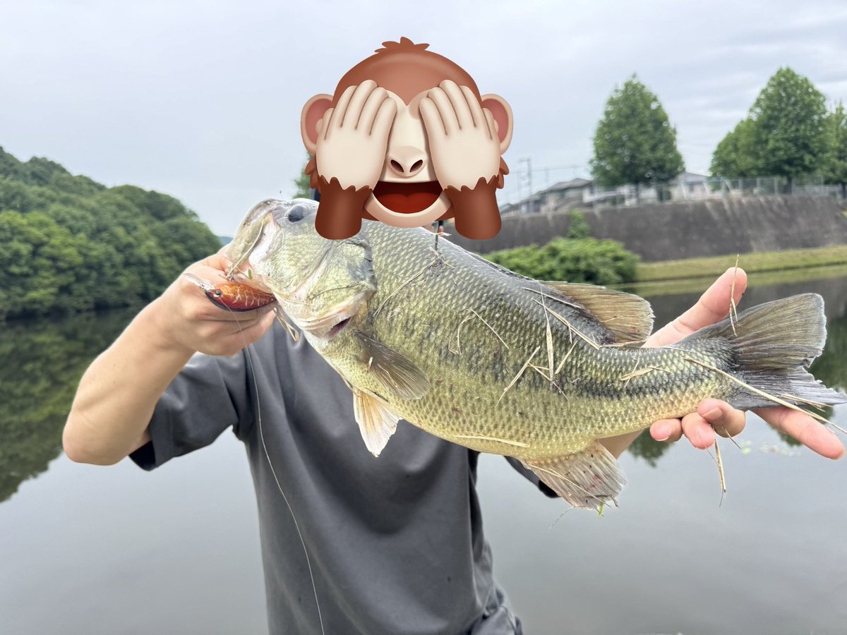 ay_rf's tweet photo. やりました！４７センチ✨またも配信外😢 https://t.co/Bsfmqlj9W2