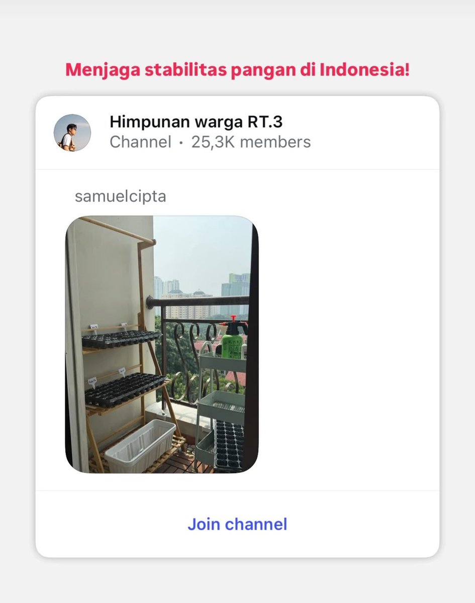 aciew's tweet photo. Sem kalau butuh mentor berkebun aku bisa banget nih. 
Komunitas aku punya misi "membangun pondasi kemandirian pangan", udah cocok banget. GRATIS BUAT SEM.  Syaratnya cuma satu, ajakin si cantik dan lucu itu aja. 😌😌😌 https://t.co/SLbPIt3hCW