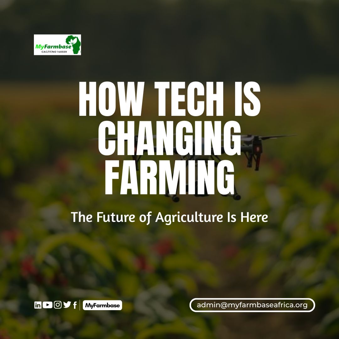 Myfarmbase's tweet photo. Technology is changing the way we farm.

From drones and AI to smart irrigation and mobile apps, farming is becoming smarter, faster, and more profitable than ever before.

Today’s farmers can:
- Monitor crops in real time
- Predict weather patterns
- Reduce waste
- Increase... https://t.co/d5KGmCtcVP
