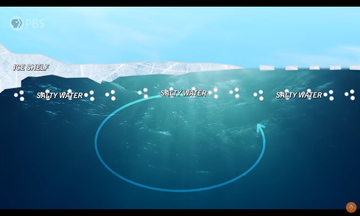 SteveLeo_'s tweet photo. Warmer waters upper stratification everywhere, in Antarctica too, where the traditional pro sea ice stratification is now gone. Another unknown tipping point already broken that was understood at posterior. For the pre 2019 modelling an 1/700.000.000 events https://t.co/e39DVo0tYC