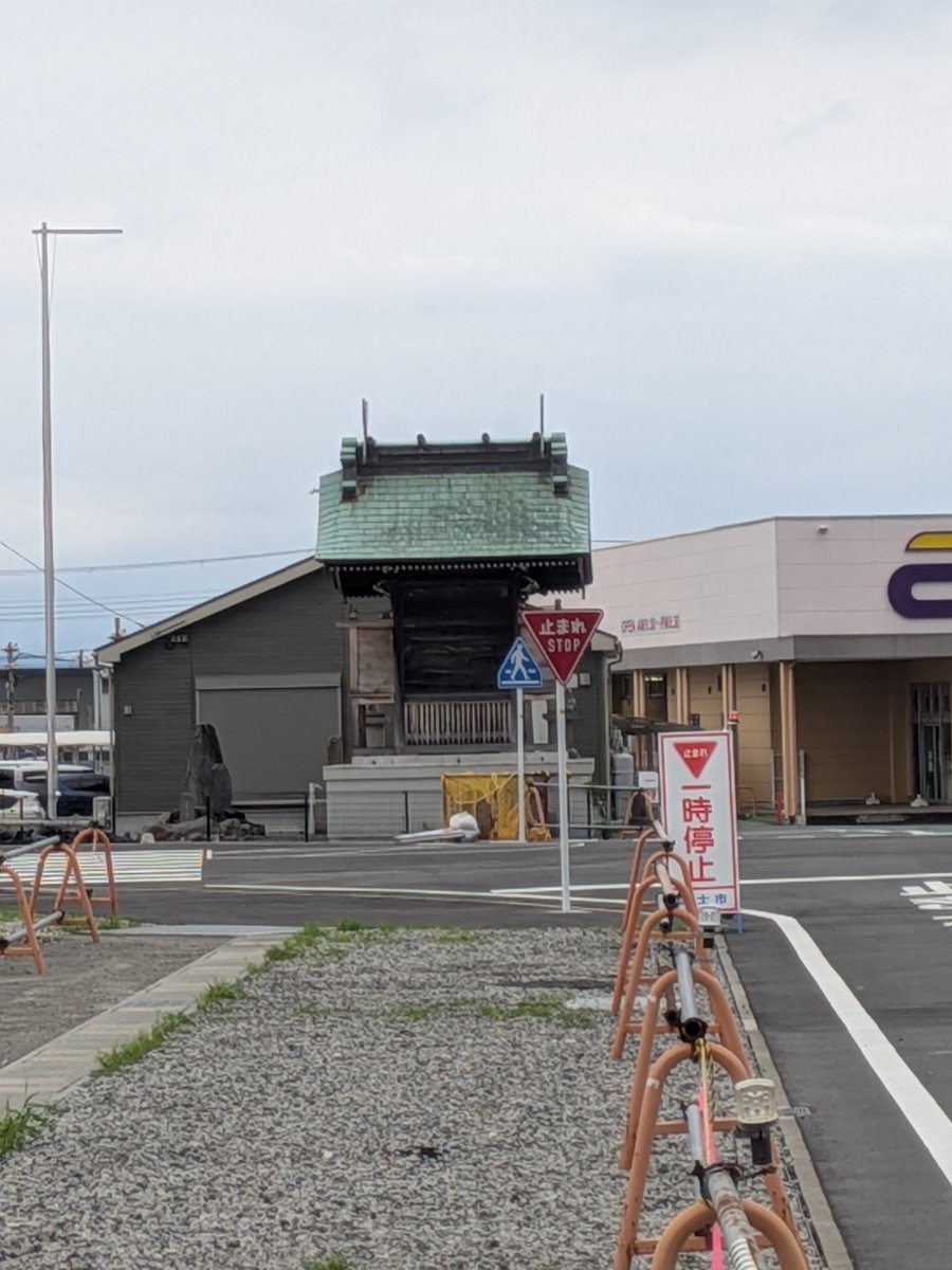 Redrum0181's tweet photo. ホテル近くの神社に、絶対にどく気はないという意志を感じました https://t.co/ZrwVPz6akp