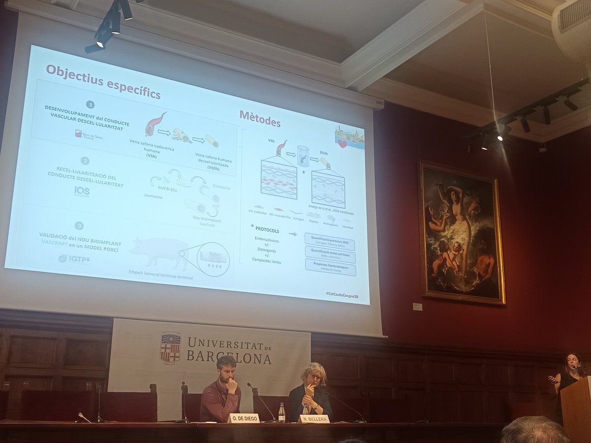 Cardionet1's tweet photo. Resultats molt prometedors del projecte VASCRAFT amb l'objectiu de promoure la revascularització arterial mitjançant l'implantació d'un nou empelt vascular enginyeritzat en l'estudi preclínic en porcs presentat al congrés 2026 @catcardio @Cardionet1 https://t.co/WLsVBVExyc