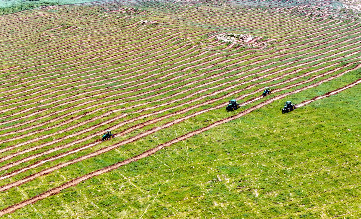 OrdosChina's tweet photo. After decades of greening once-barren landscapes, #Ordos is strengthening its fight against #desertification through legislation.
Effective Aug 1, a new regulation will help protect restoration gains in the #KubuqiDesert and #MuUs Sandy Land while benefiting local communities. https://t.co/TRiwS6hnRv