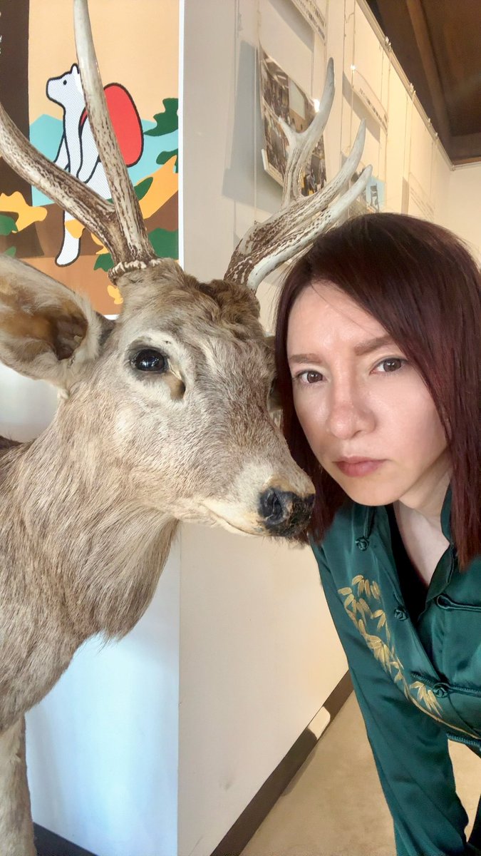 7mayaland's tweet photo. #知床、#網走 で出逢った自然のまま生きる動物たち
鹿、リス、タヌキ、キツネ🦌🐿🦝🦊

#北海道 の大自然に感謝。
（クマには出逢いませんでした👍 https://t.co/CX6fn3QNR7