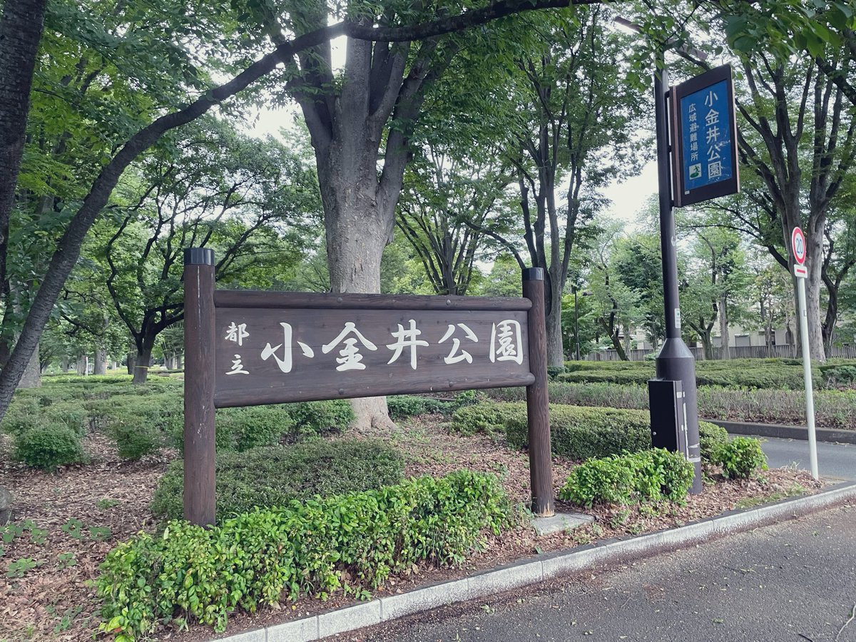 sigsig_sign's tweet photo. ⑧小金井公園(終)

本当は立川の昭和記念公園まで行って、
直接帰ろうと思っていたけれど、
疲れたのでここで終了。
武蔵小金井駅から帰ります。

久しぶりで疲れたけれど楽しかった〜🚶‍♀️
お散歩、最高‼️🫶 https://t.co/DF9SZc2gc4