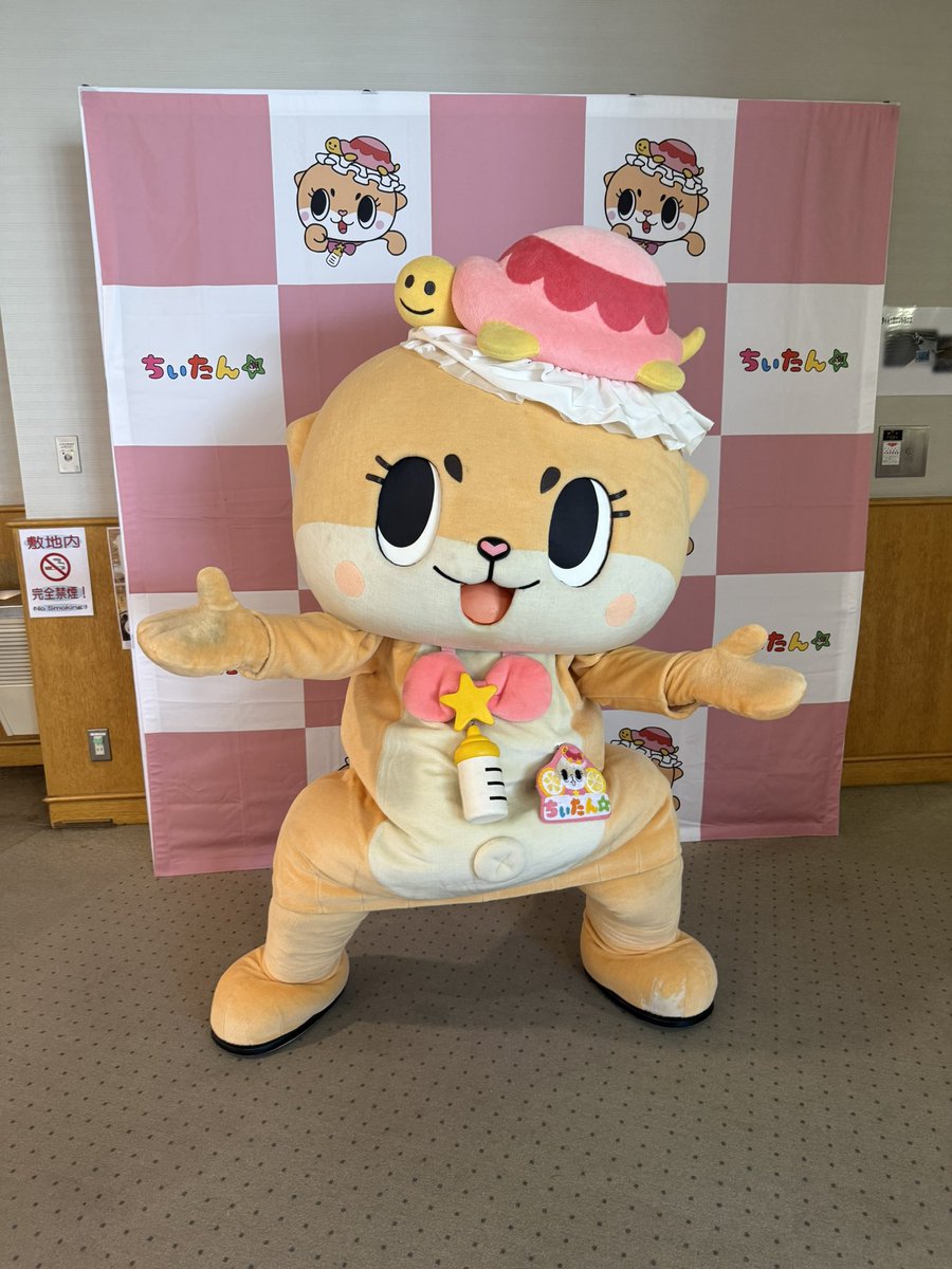 公式：ちぃたん☆広島 (@chiitanmomiji) / Posts / X
