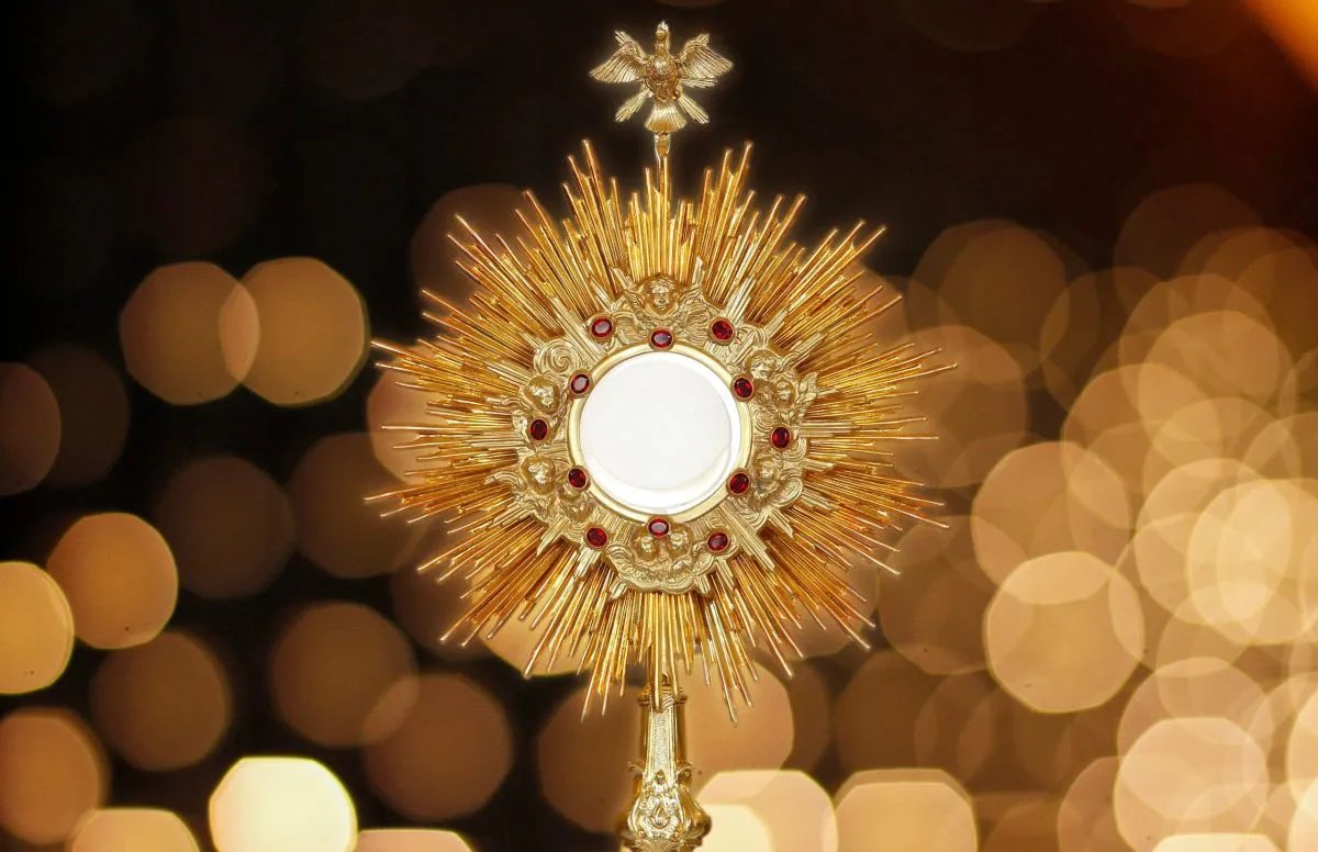 doloresdlpuente's tweet photo. «Yo soy el pan vivo bajado del cielo» (Jn 6,51).

⛪️Hoy la iglesia celebra la solemnidad del Corpus Christi, día en que la Iglesia proclama con especial alegría la presencia real de Cristo en la Eucaristía. 

¡Alabado sea el Santísimo Sacramento!

#CorpusChristi #CofradíasMLG https://t.co/onFty011wP