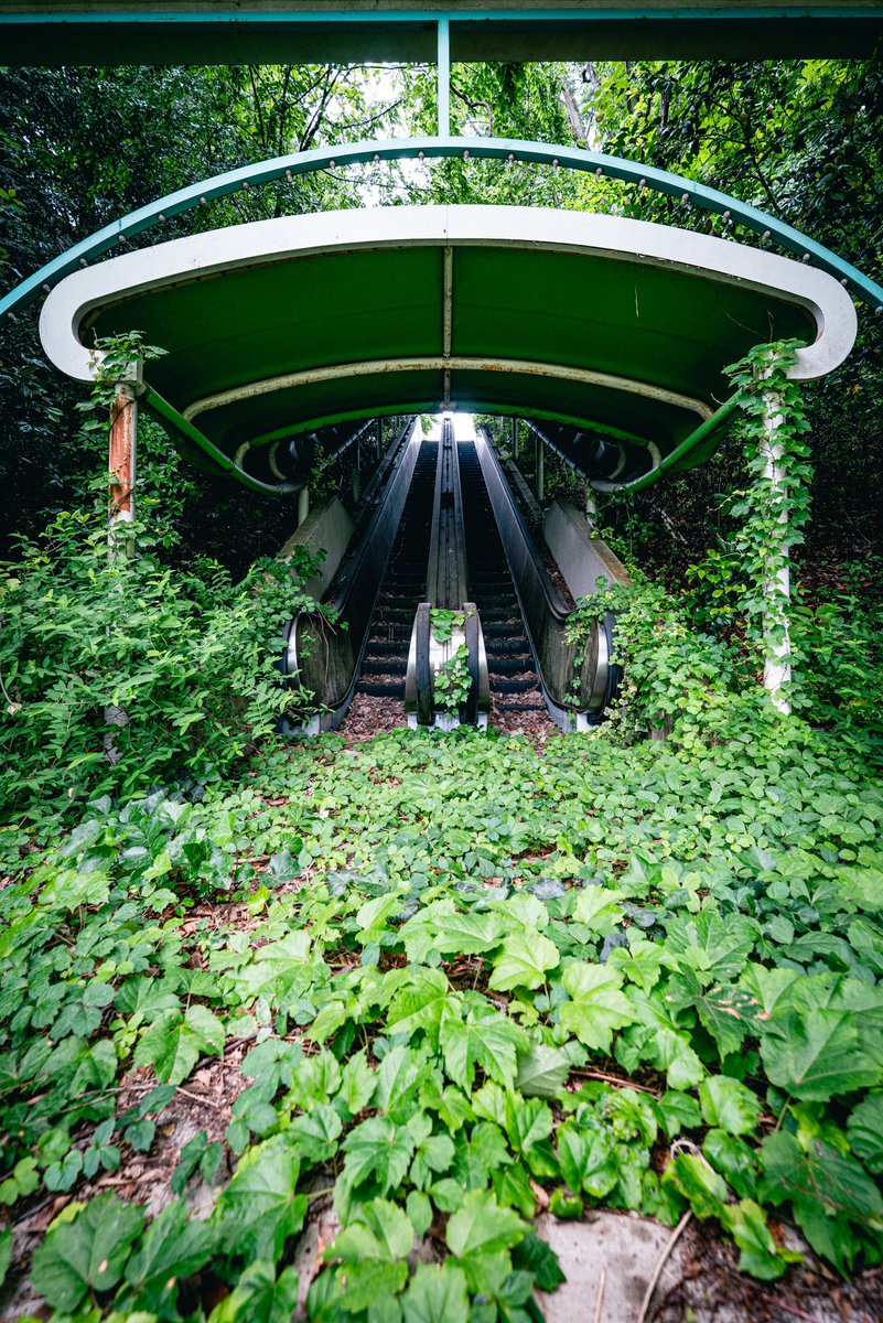 urbex_34's tweet photo. 動かなくなってしまったエスカレーターから止めどなく溢れ出す蔦。 https://t.co/cMoawRbbqI