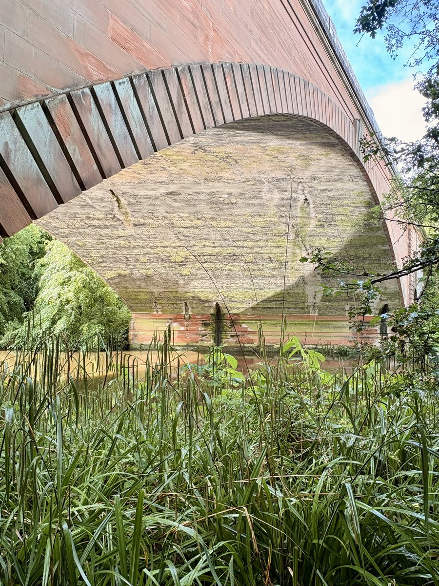 colinmccredie's tweet photo. Petrichor morning on the Kelvin. https://t.co/8ceWFxidsD
