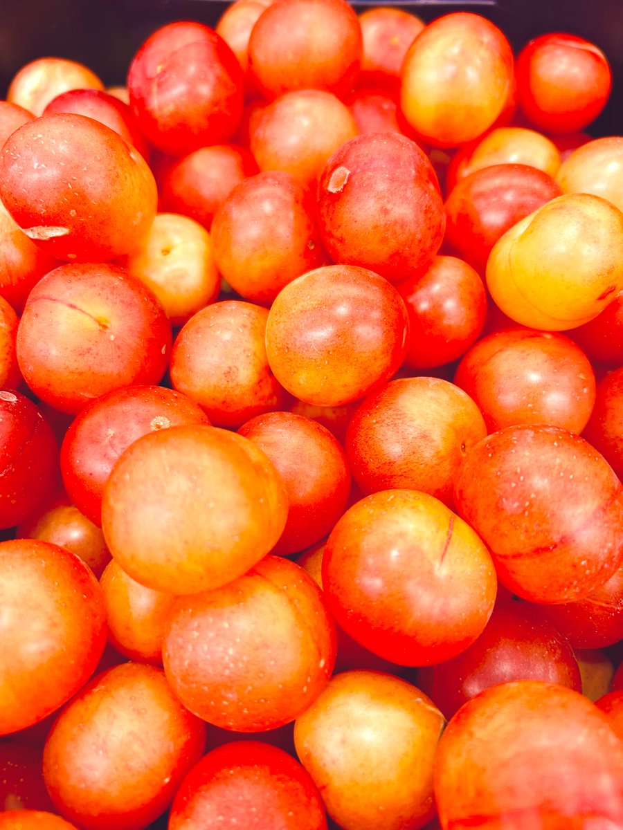 mercamadrid_hoy's tweet photo. 🆙¡Ya estamos en #temporada 🗓 de ciruelas!
👌Disfruta de su textura carnosa y aprovecha todos sus beneficios, súper versátiles para disfrutar solas o acompañadas en ensaladas, yogures y postres ✅
🍽️Para consumir en cualquier momento del día #Practicael5🖐🏽
👉🏽En tu comercio local
#vistoenmercamadrid