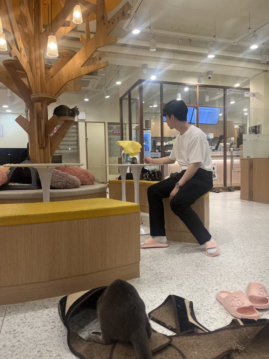 moca3344's tweet photo. #일상계_X친소 #일상계_트친소
안.녕하세~ 나와친구가될수잇을까~?
맘찍기다리는중 https://t.co/zBahnQnnw6