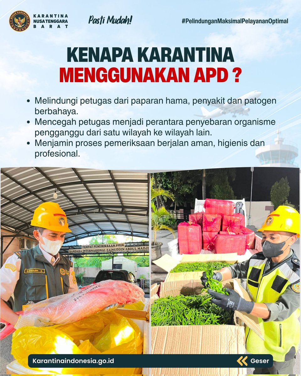 karantinantb's tweet photo. Gunakan APD dengan Rapi, Petugas Terlindungi, Produk Higienis Terjaga Pasti

#karantinantb
#PelindunganMaksimalPelayananOptimal #APD https://t.co/FshtKxKwNq