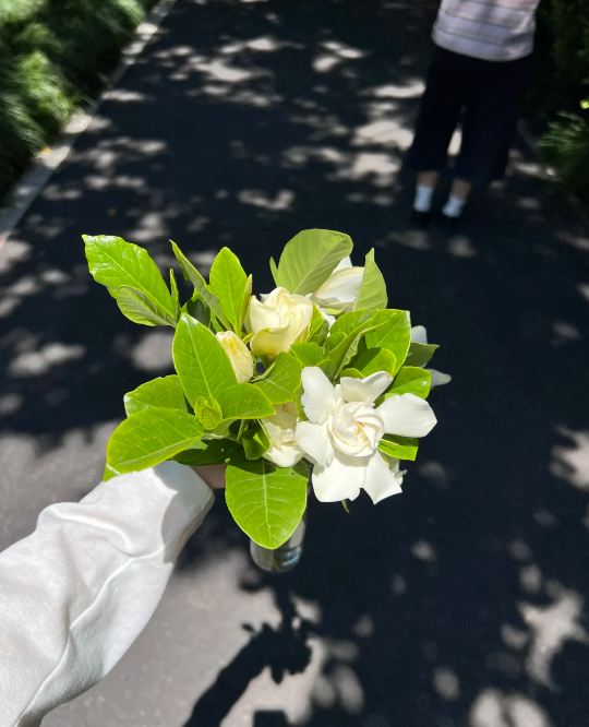 AlainDecoene's tweet photo. 怪不得都叫品什么品什么  品不就是上面一个，下面两个嘛   #上海 #女大 #反差 https://t.co/VhZ6eJiSzh