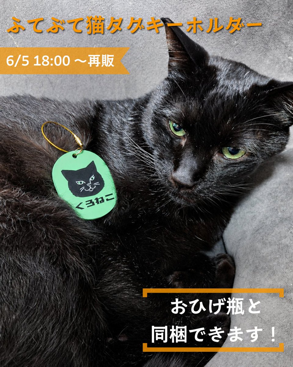 nekosyakinsei's tweet photo. ふてぶてしい猫のタグキーホルダー、こちらも明日から在庫追加して再販します～
おひげ瓶の箱に一緒に入れて発送できますので、ついでにいかがでしょう。全8種類です🐱
ショップはこちら↓
https://t.co/cXyYC6dsBH https://t.co/vv9plYQyup