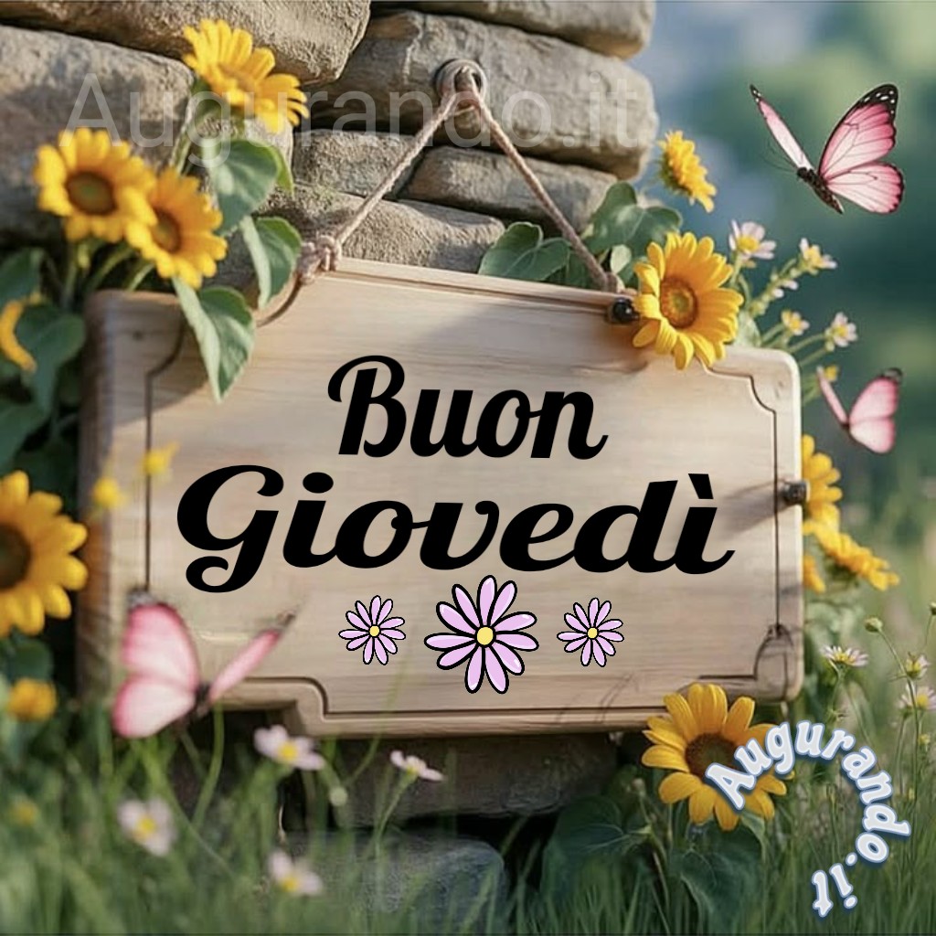 Fabio69737159's tweet photo. @Lala533221 Buon giovedì e felice giornata carissima Serena 💚⚘️❤️ https://t.co/3Hfkf5yFSl