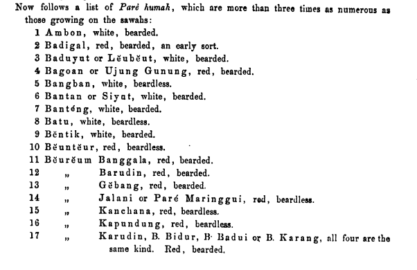 malikarrahiem's tweet photo. Hari ini saya belajar bahwa Jonathan Rigg merekam dalam kamus Sunda-Inggrisnya yg terbit tahun 1862, ada 45 jenis padi sawah dan ada 150 jenis padi ladang/huma. 

Pengetahuan tentang padi begitu mendalam, sampe setiap jenis sudah punya nama2nya sendiri. https://t.co/NOKb2j87QX