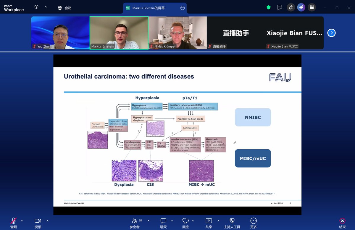 yao_zhu_sh's tweet photo. Excited to share that right after #ASCO26, @niklas_kluemper &amp; @Markuseckstein3 gave talks at the FUGO seminar on biomarkers in UC for ADC response. Great insights—we just discussed nectin4-top1i, DV, Iza-bren. With a surge of ADC options, selection is set to become a hot area. https://t.co/fyrdX5d7S2