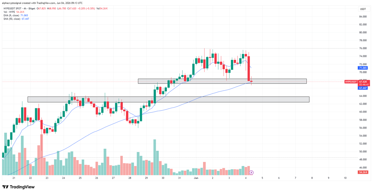 alphacryptosign's tweet photo. #HYPE LTF Analysis:

$HYPE has pulled back into a key support region after rejecting from local highs, making this an area worth monitoring for a potential long setup. The first demand zone around current prices is being tested now, and as long as buyers defend it, the broader bullish structure remains intact for $HYPE.

If this level fails, the lower support zone becomes the next area of interest. A strong reaction from either zone could provide an attractive long entry with favorable risk-to-reward on $HYPE. The plan is simple: wait for support to hold, look for signs of strength, and then position for a continuation toward the recent highs and beyond.
